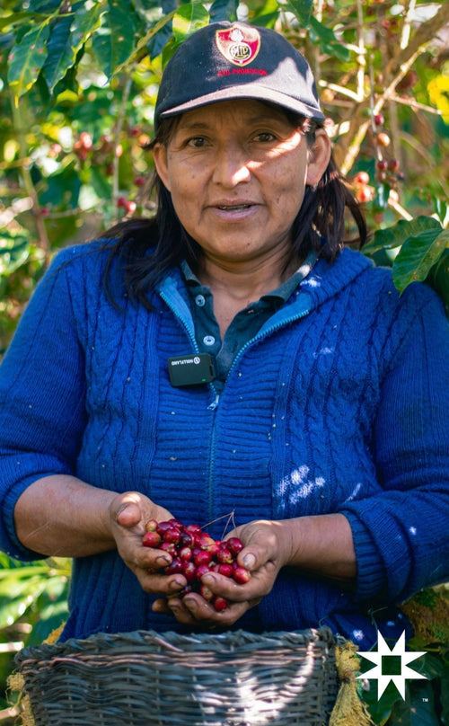 Yanesha Native Community Natural Process - Roasted Coffee